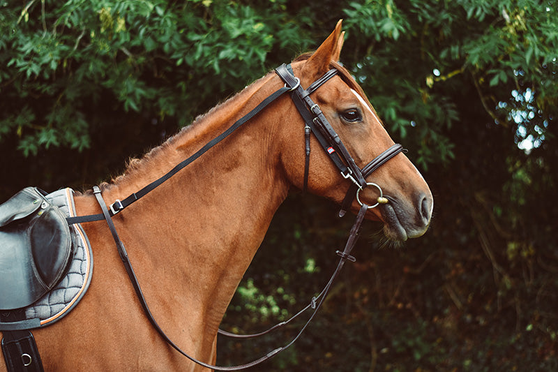 Equi-Sential Anti-Grazing Reins