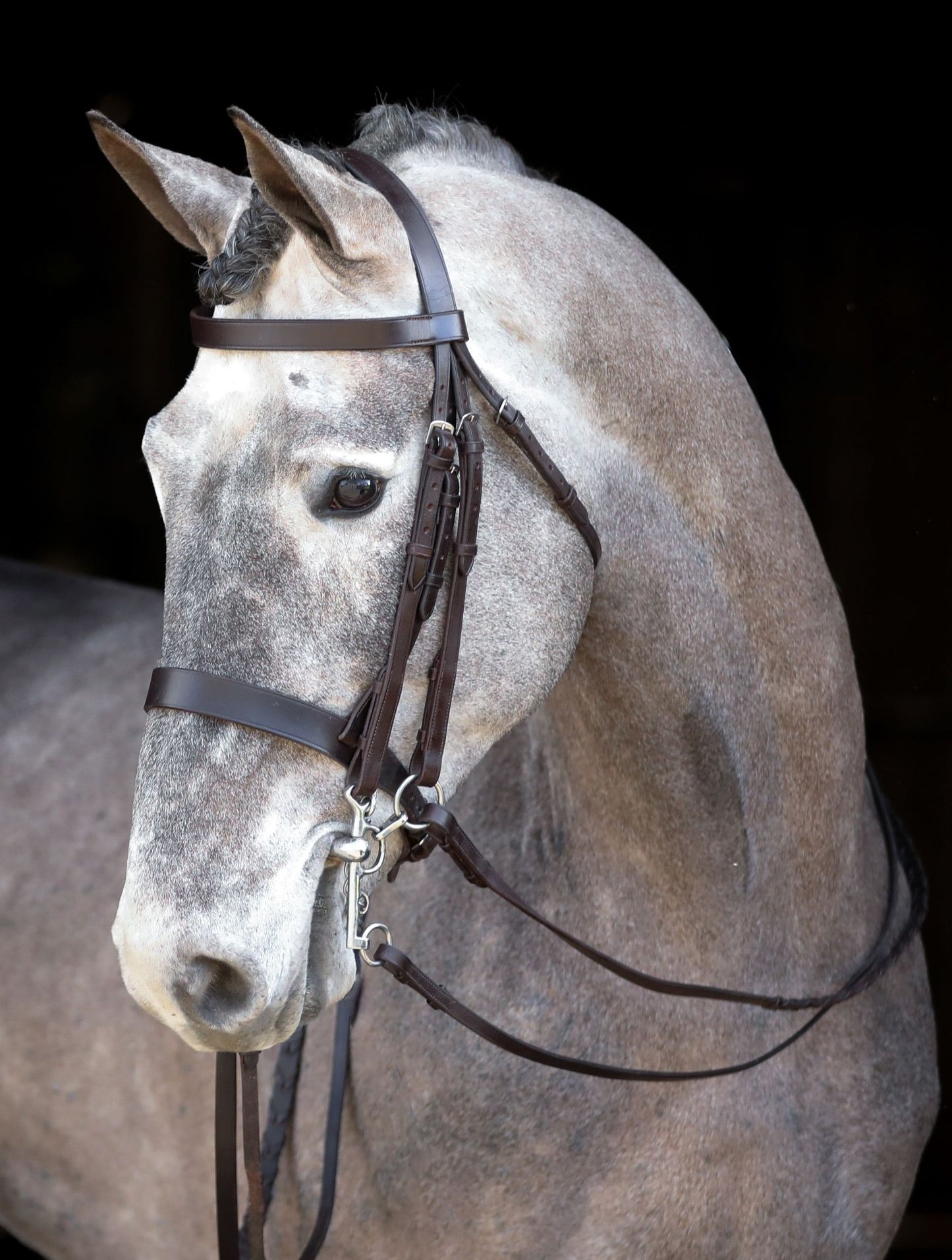 Mackey Classic Double Bridle