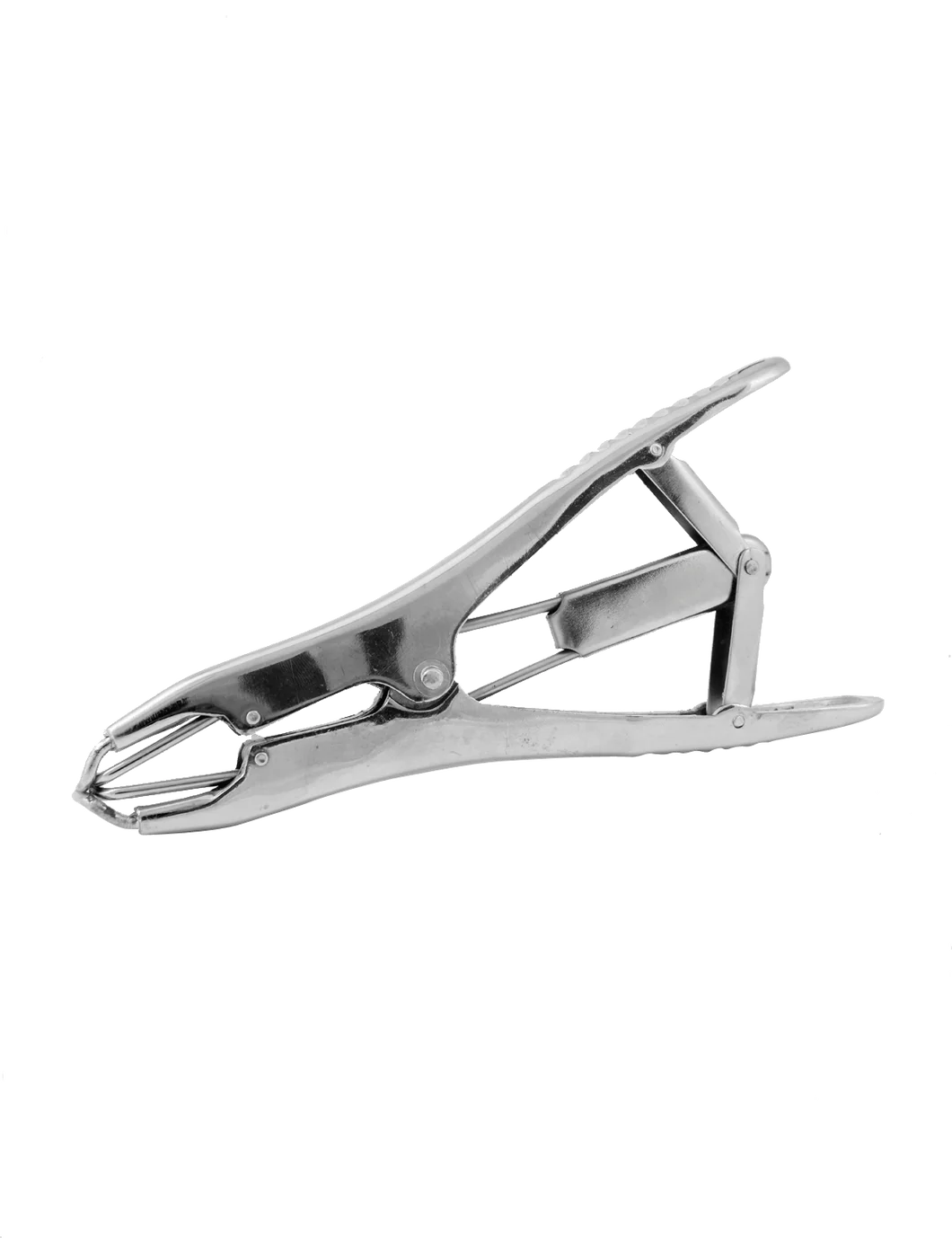 Lamb Ring Applicator