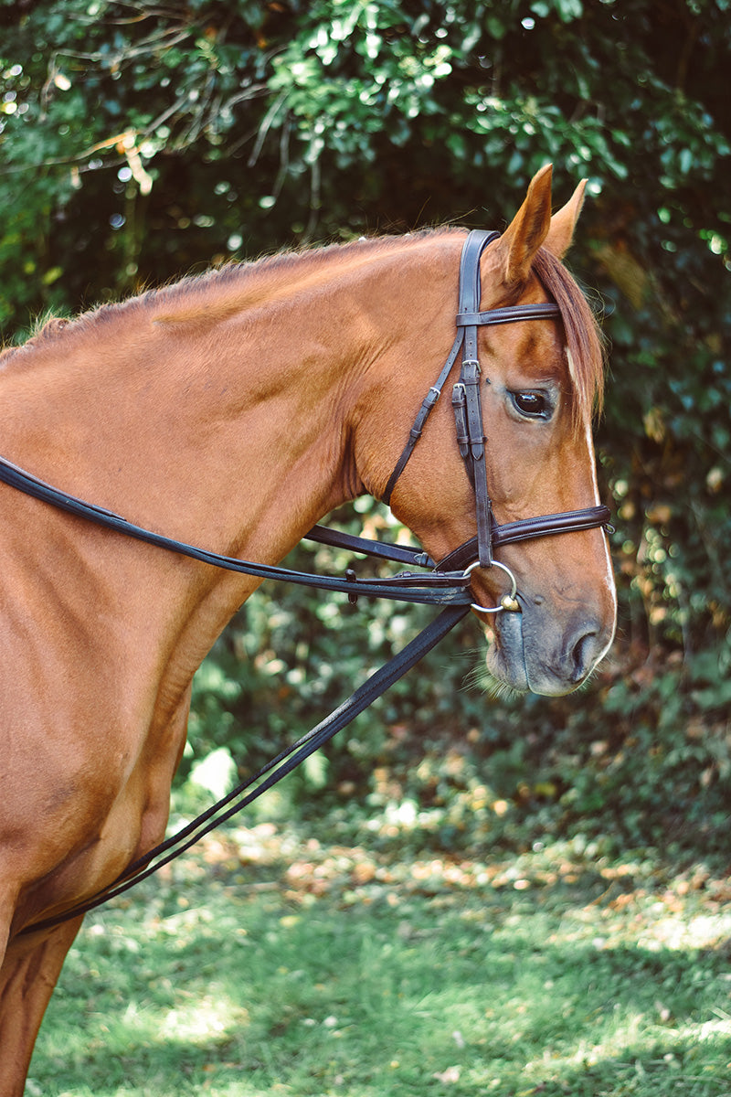 Equi-Sential Padded Draw Reins