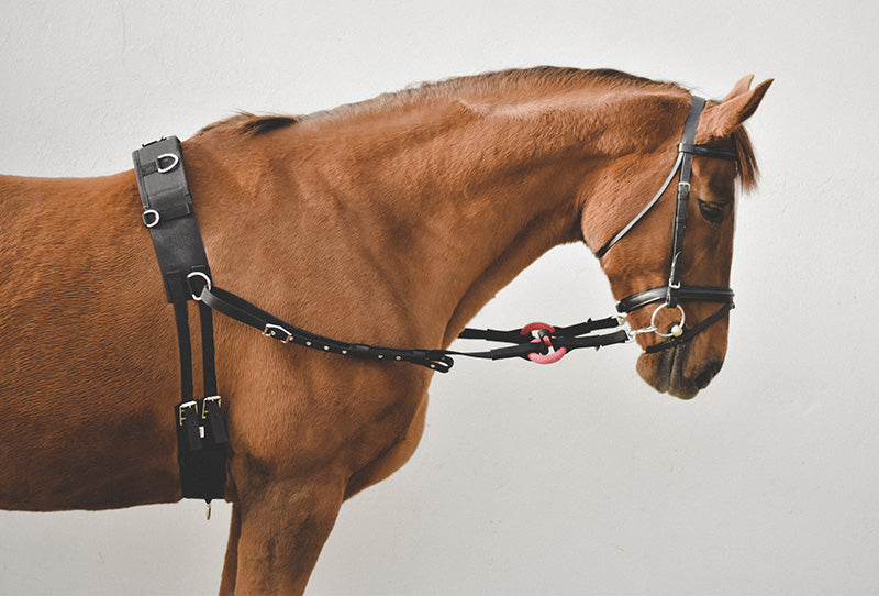 Equi-Sential Nylon Side Reins