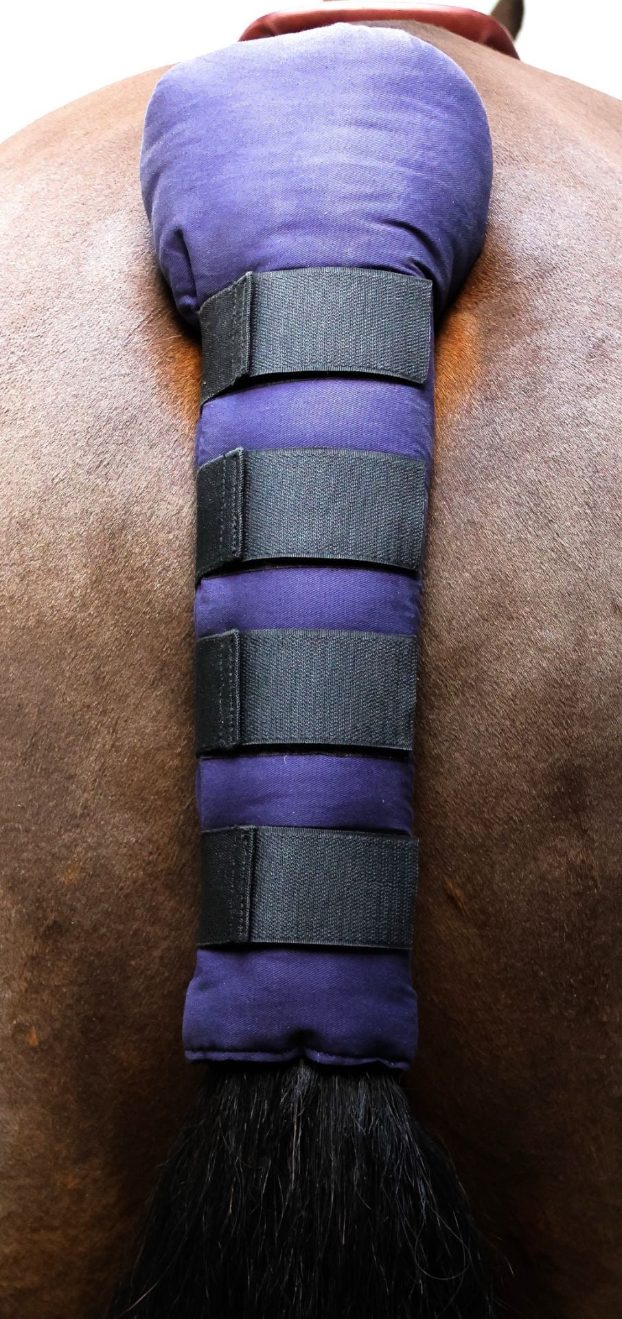 Equi-Sential Tail Guard
