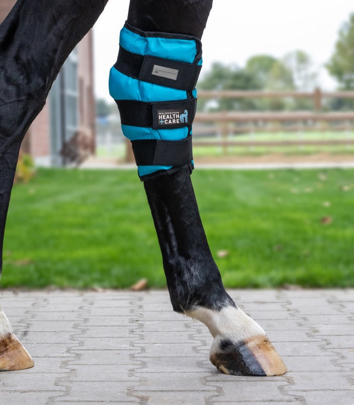 Cooling Hock Boot