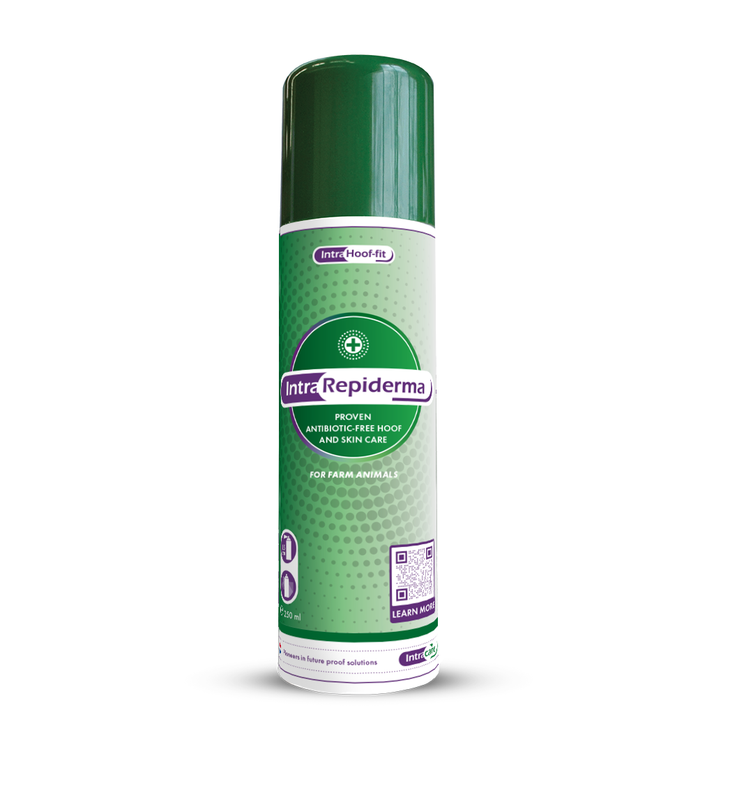 Intra Repiderma Aerosol Spray