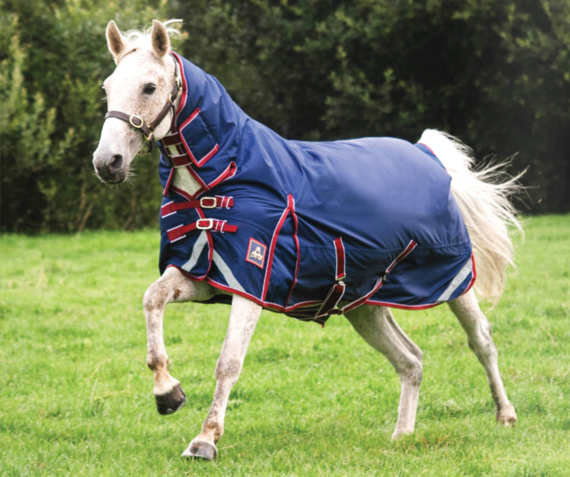 Keadeen Plus Turnout Rug 300g