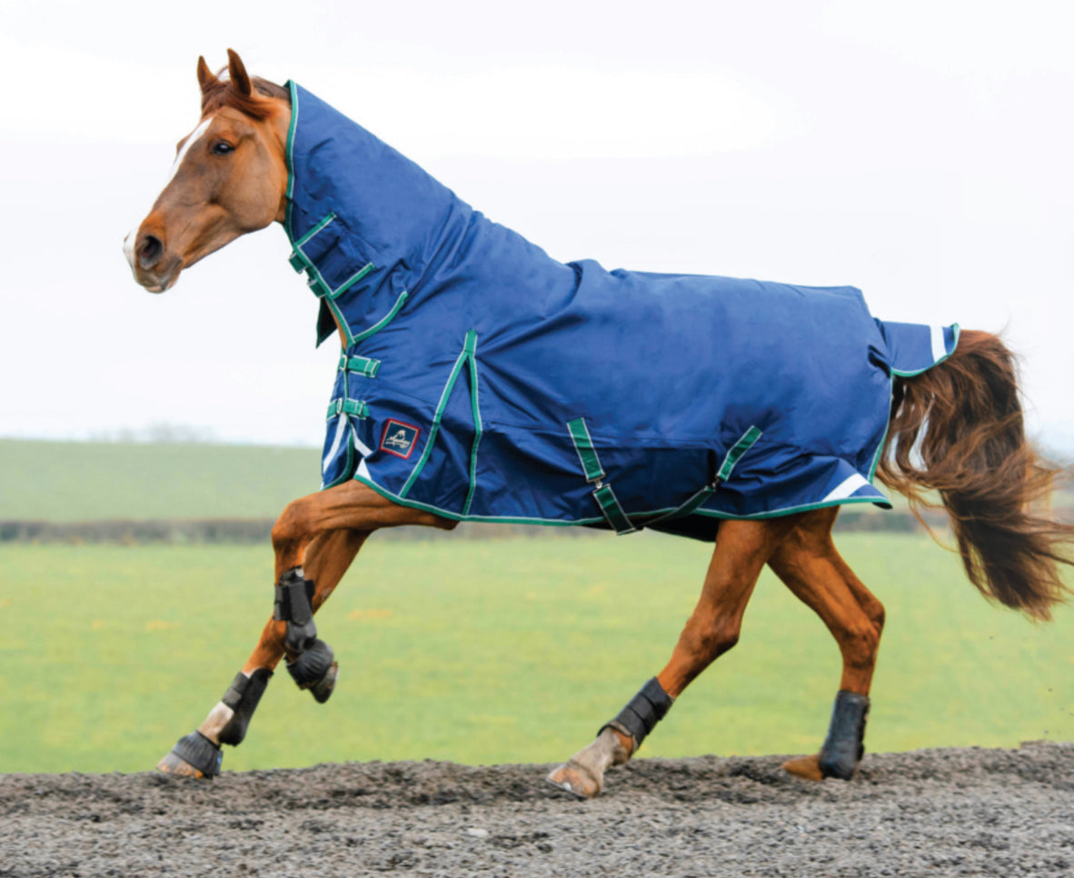 Keadeen Plus Turnout Rug 100g