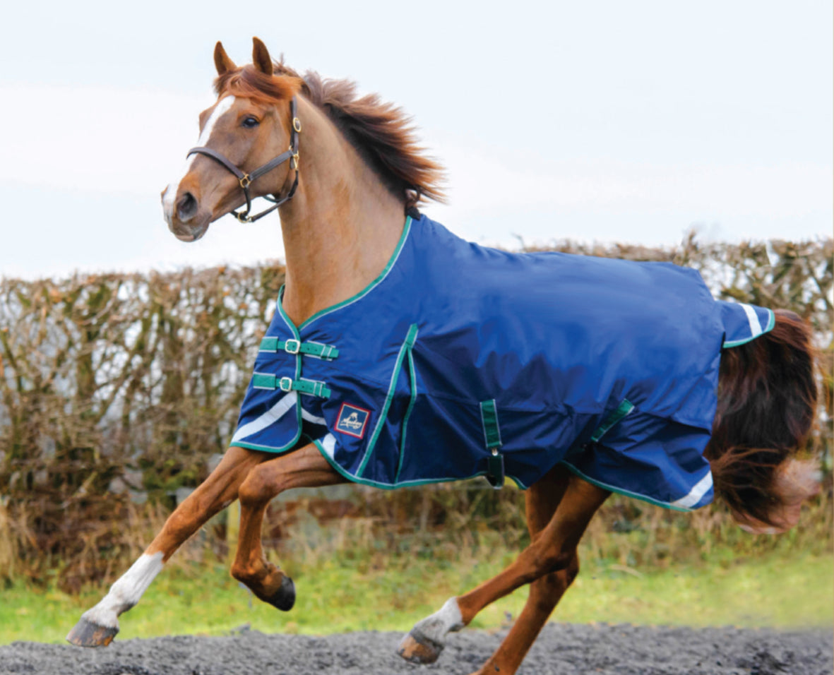 Keadeen Standard Turnout Rug 100g