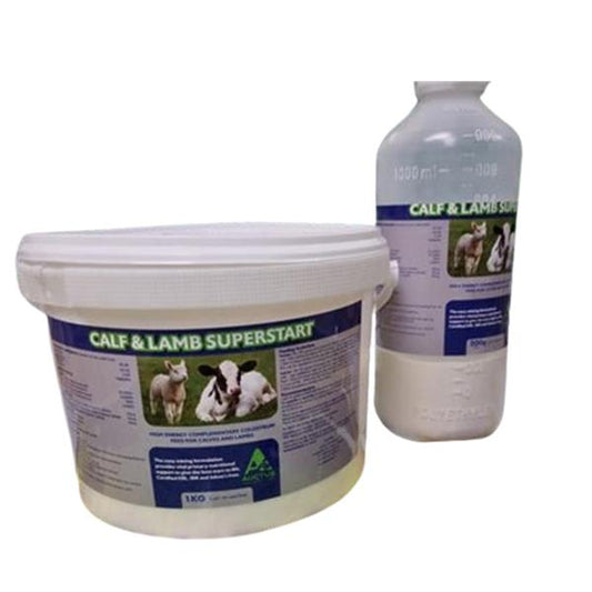Auctus Calf & Lamb Superstart Bucket 1Kg
