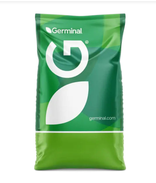 Germinal Horse Mixture Seed (Ring to Pre-Order)