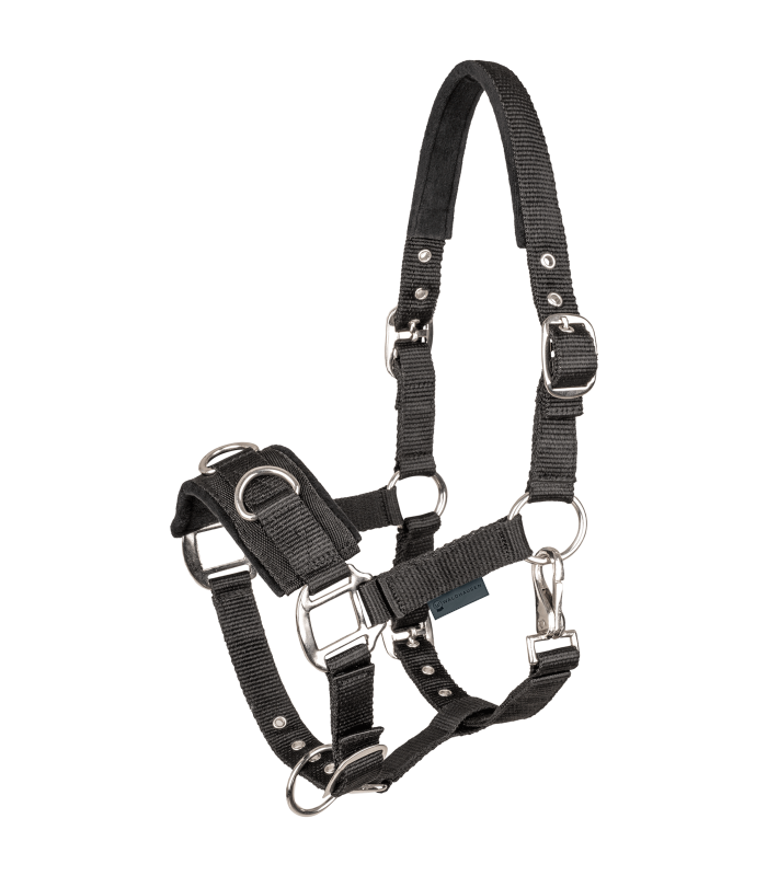Lunging Halter