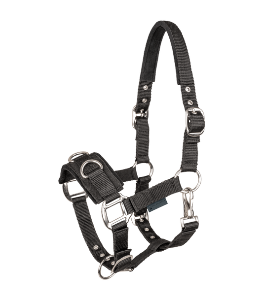 Lunging Halter