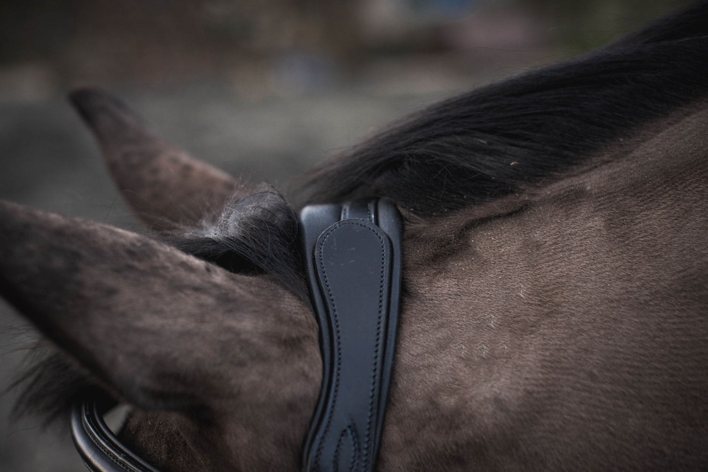 Mackey Legend Apollo Bridle
