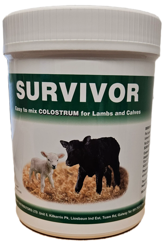 Survivor 400g Tub