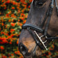 Mackey Legend Apollo Bridle
