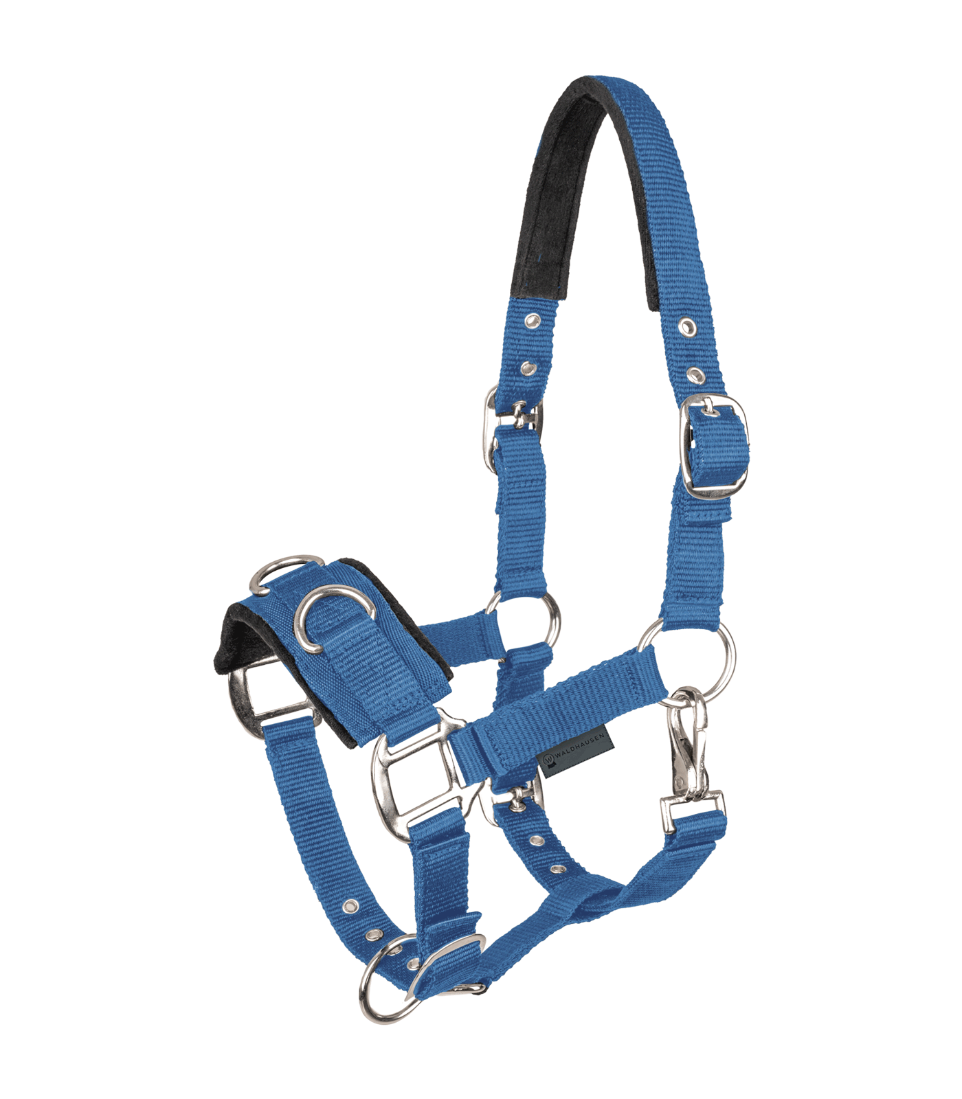 Lunging Halter