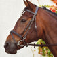 Equisential Bridle