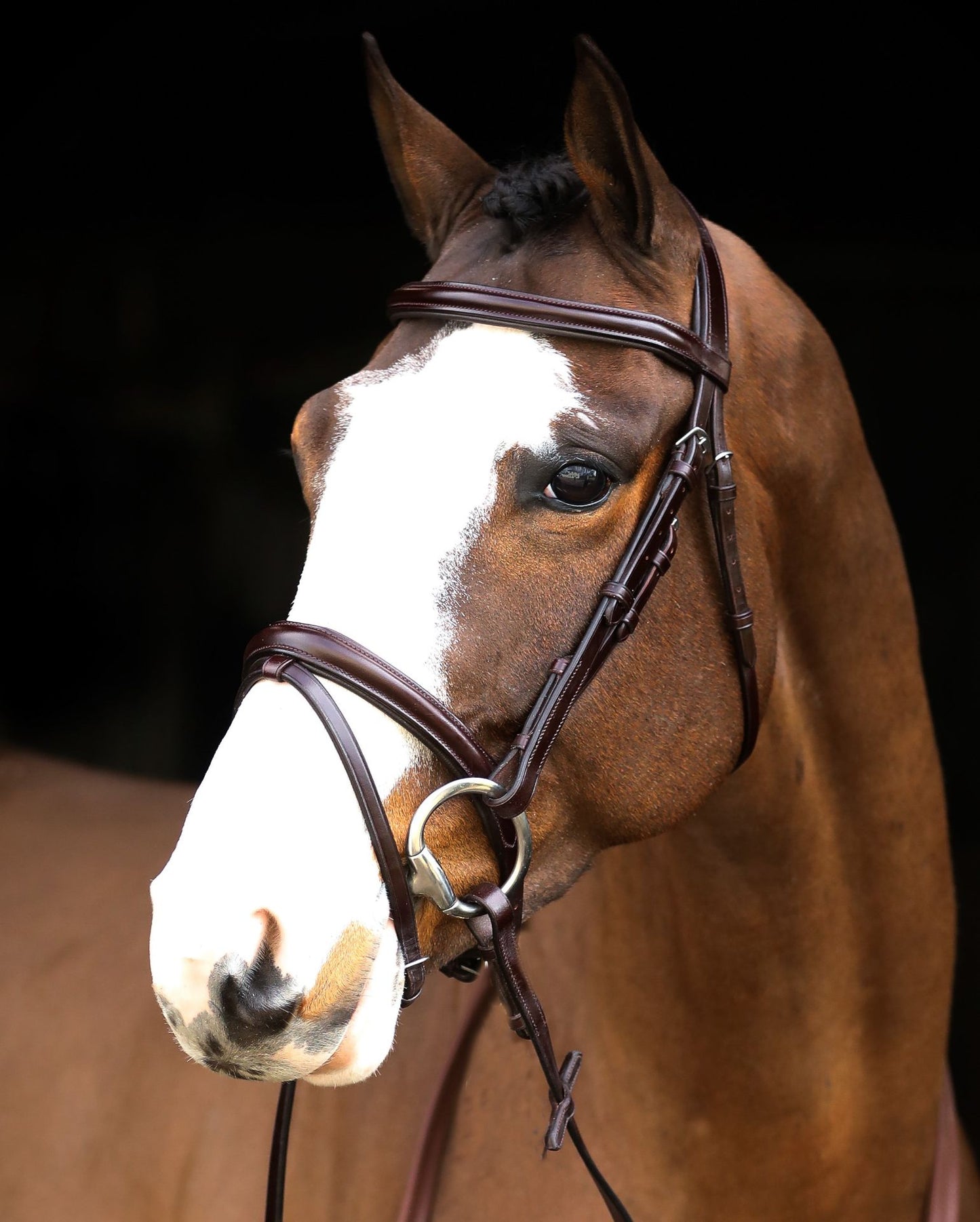 Mackey Legend Flash Bridle