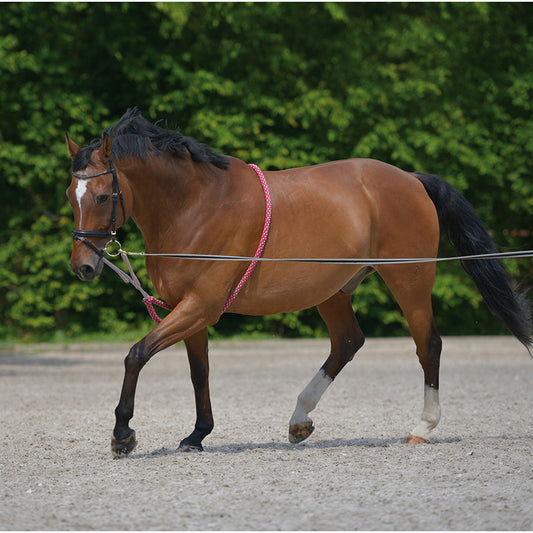 Lunging Aid
