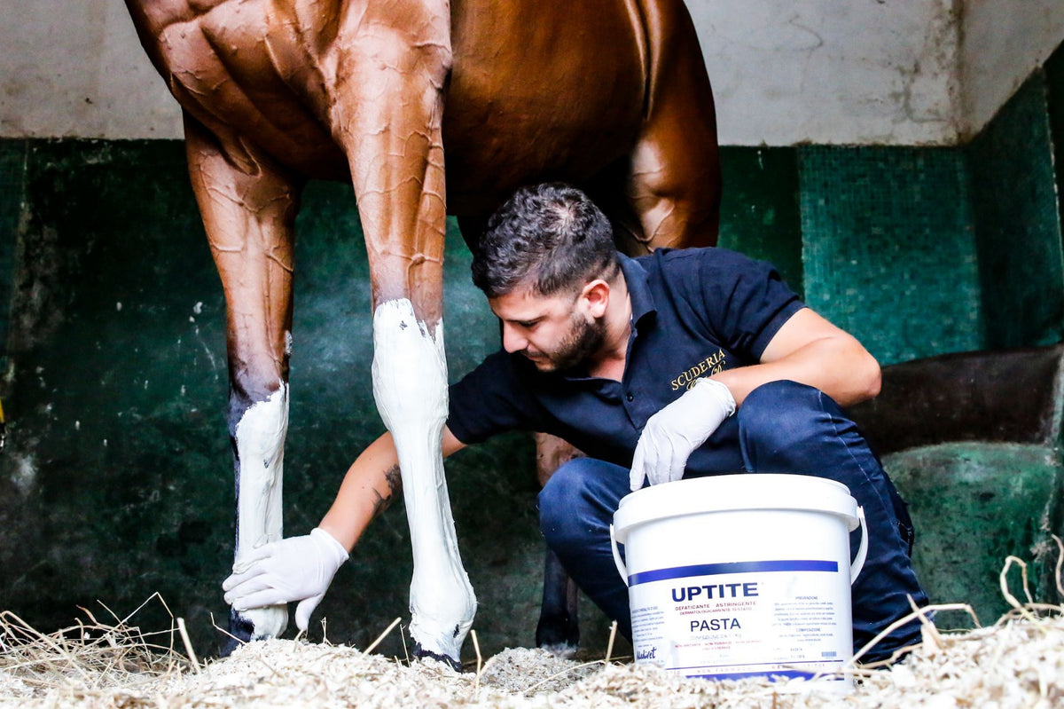 Uptite Paste