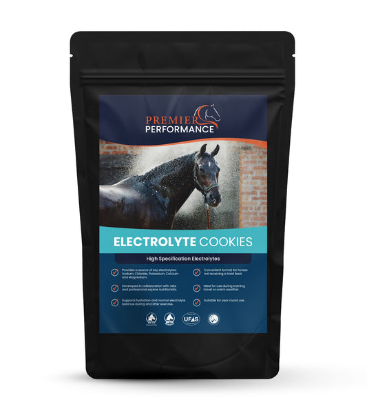 Premier Performance Electrolyte Cookies