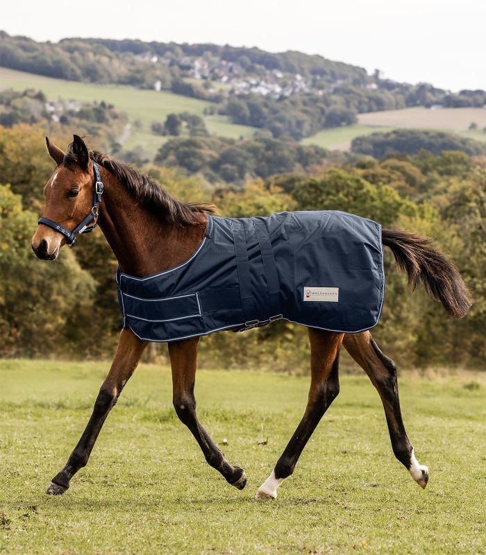 Foal Turnout Rug