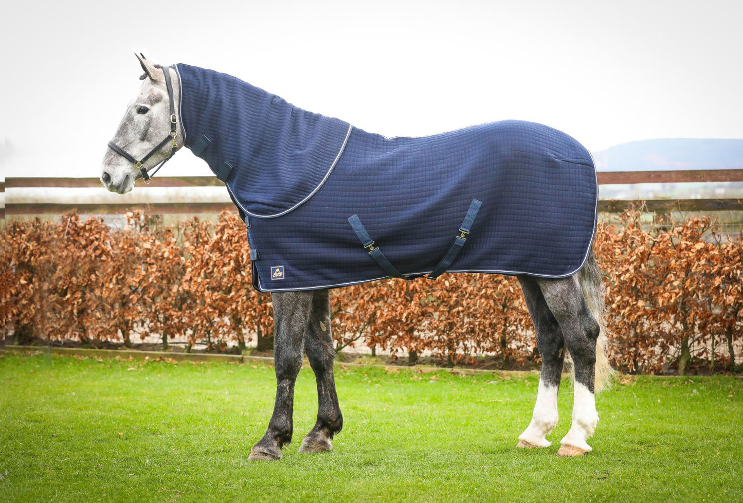 Mackey Aran Thermo Rug