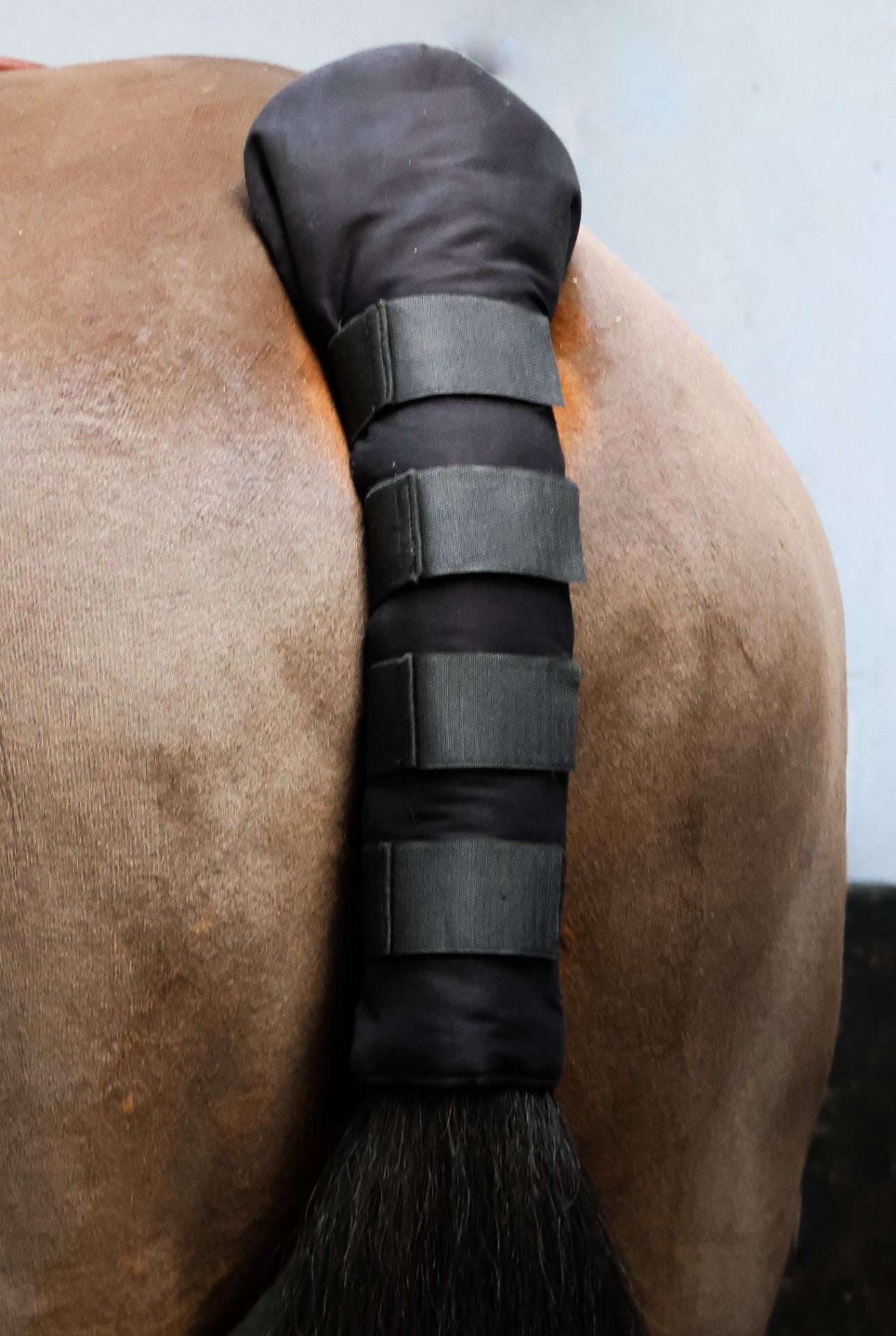 Equi-Sential Tail Guard