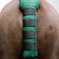 Equi-Sential Tail Guard