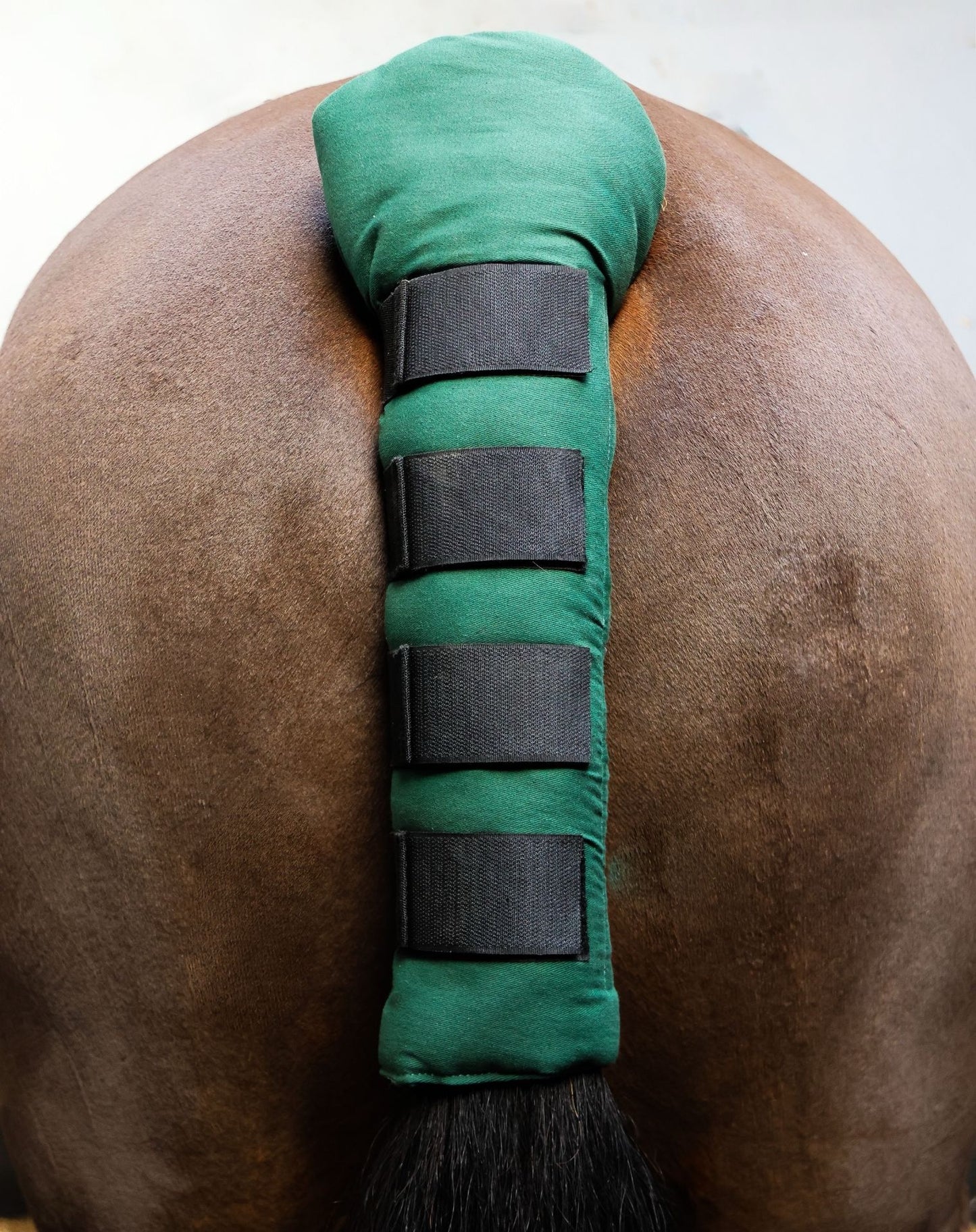 Equi-Sential Tail Guard