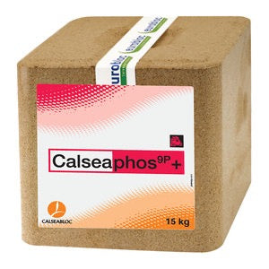 Calsea Phosphorus Lick
