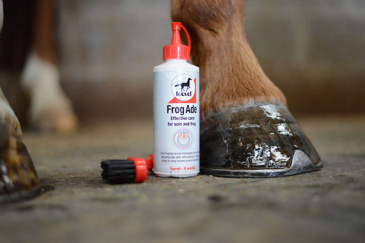 Leovet Frogade With Brush