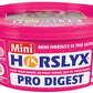 Horslyx Pro Digest Balancer