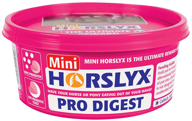 Horslyx Pro Digest Balancer