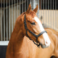 Liveryman Clipping Headcollar