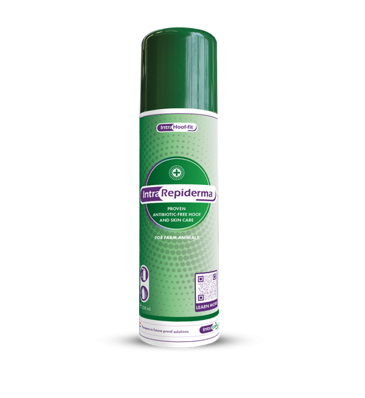 Intra Repiderma Aerosol Spray