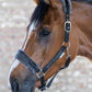 Elegant Halter - Midlandsequestrian.com