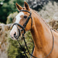 Mackey Classic Flash Bridle