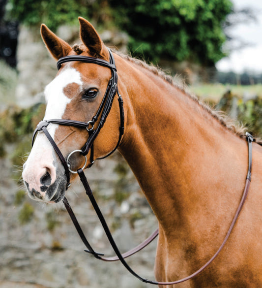 Mackey Classic Padded Grackle Bridle