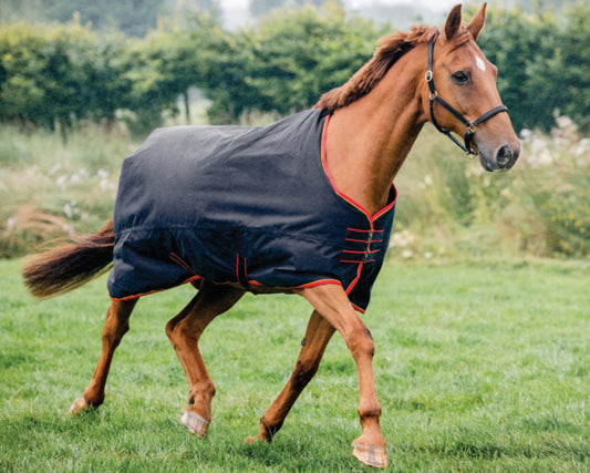 Equi-Sential Turnout Light Rug