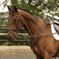 Mackey Classic Hunting Breastplate