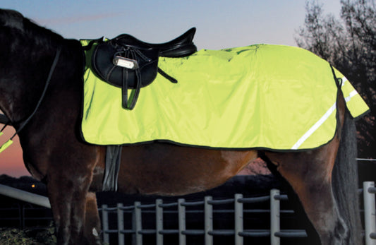 Hi-Viz Exercise Sheet